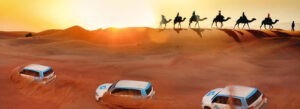 desert safari | desert safari 2023 | arabian desert safari